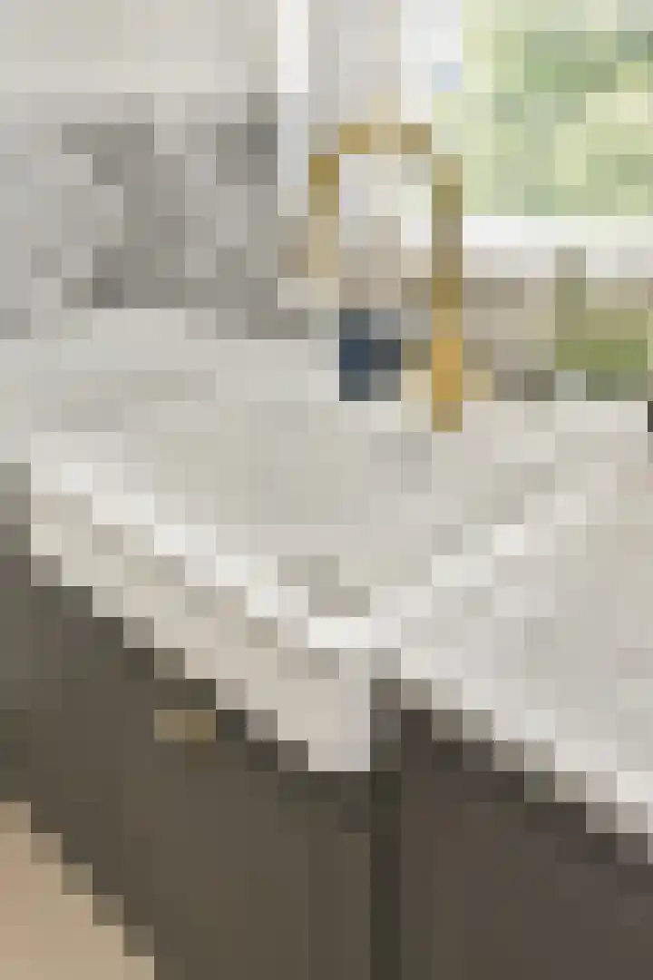 Henkenshage 21 Amsterdam thumbnail 11