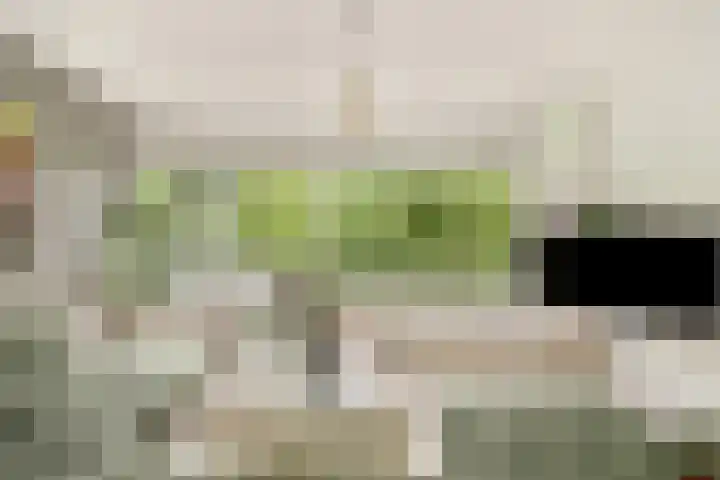 Henkenshage 21 Amsterdam thumbnail 12