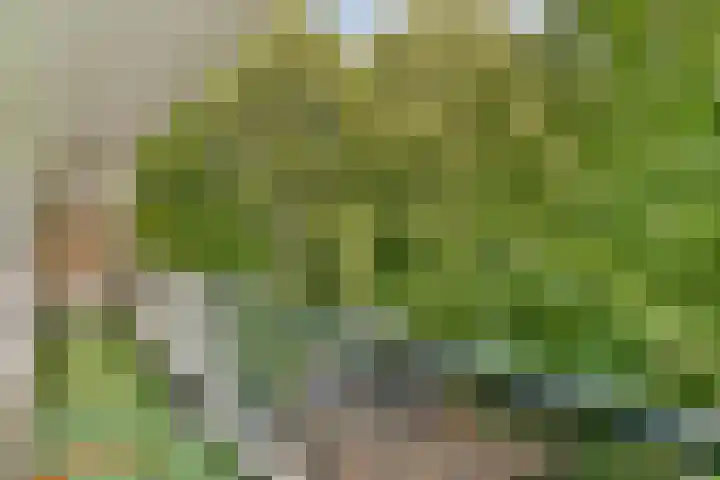 Henkenshage 21 Amsterdam thumbnail 13