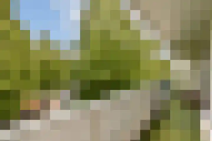 Henkenshage 21 Amsterdam thumbnail 14