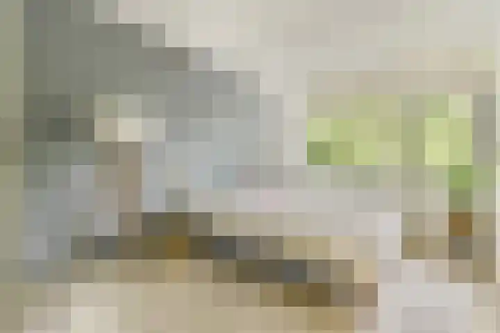 Henkenshage 21 Amsterdam thumbnail 17