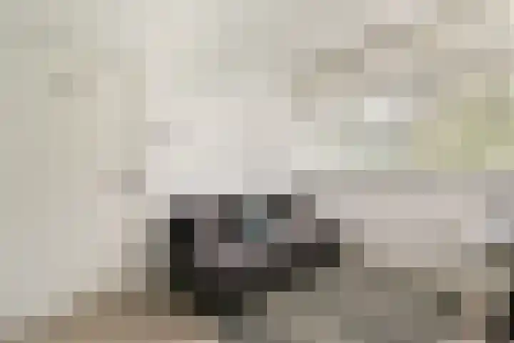 Henkenshage 21 Amsterdam thumbnail 21