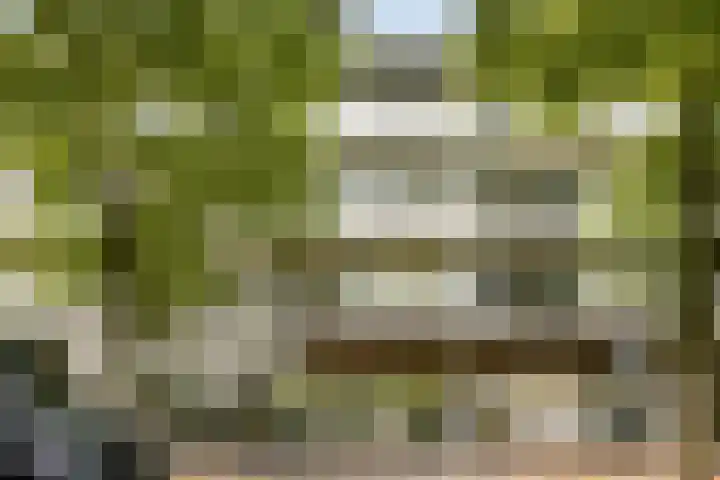 Henkenshage 21 Amsterdam thumbnail 25