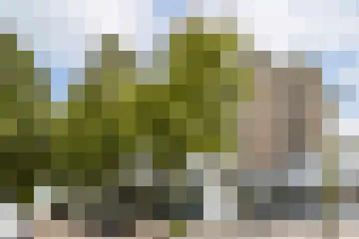 Henkenshage 21 Amsterdam thumbnail 26