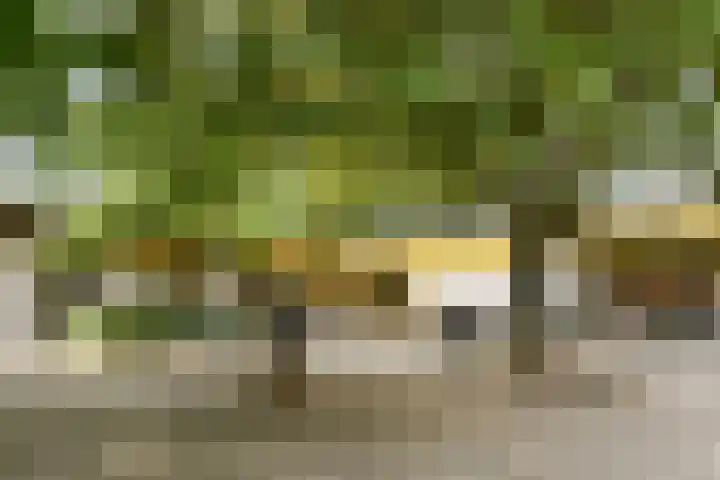 Henkenshage 21 Amsterdam thumbnail 27