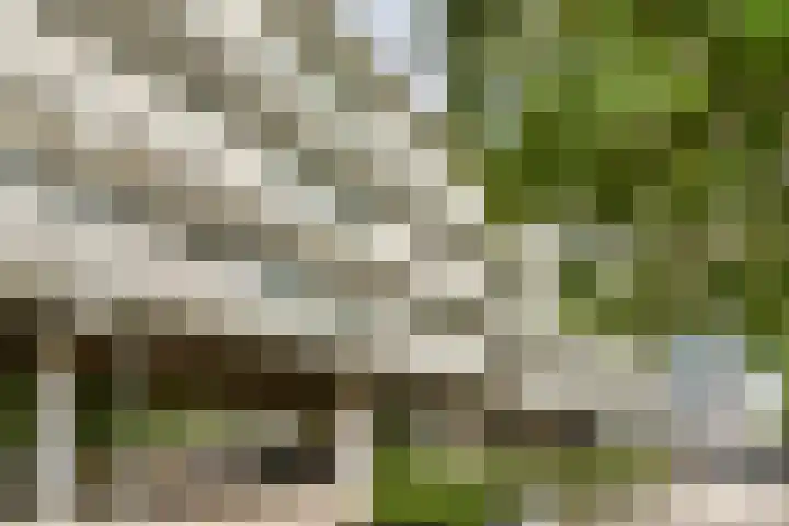 Henkenshage 21 Amsterdam thumbnail 37