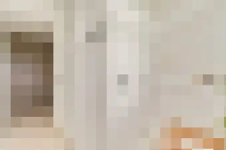 Henkenshage 21 Amsterdam thumbnail 5