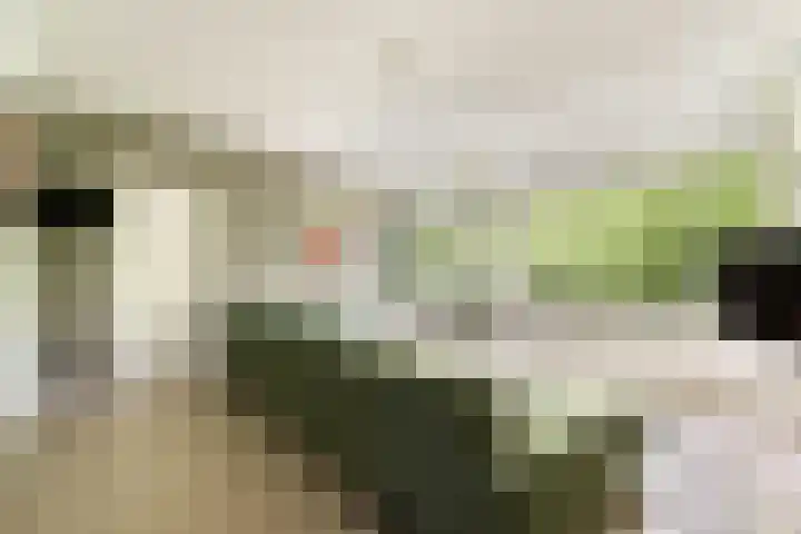 Henkenshage 21 Amsterdam thumbnail 6