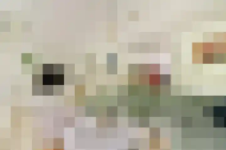 Henkenshage 21 Amsterdam thumbnail 7