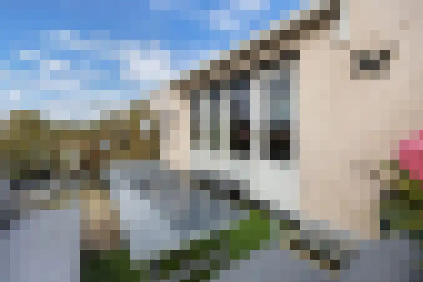 Hennahof 5 Almere thumbnail 30