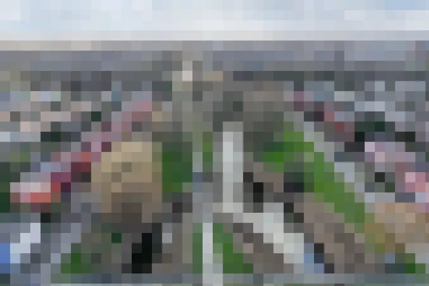 Hennahof 5 Almere thumbnail 38