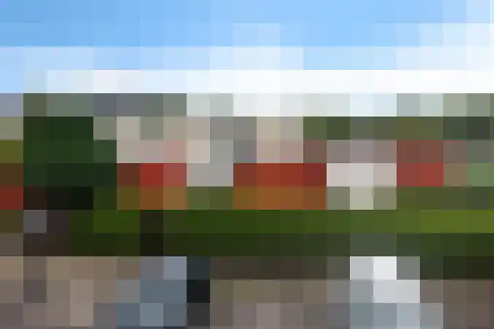 Hennahof 58 Almere thumbnail 22