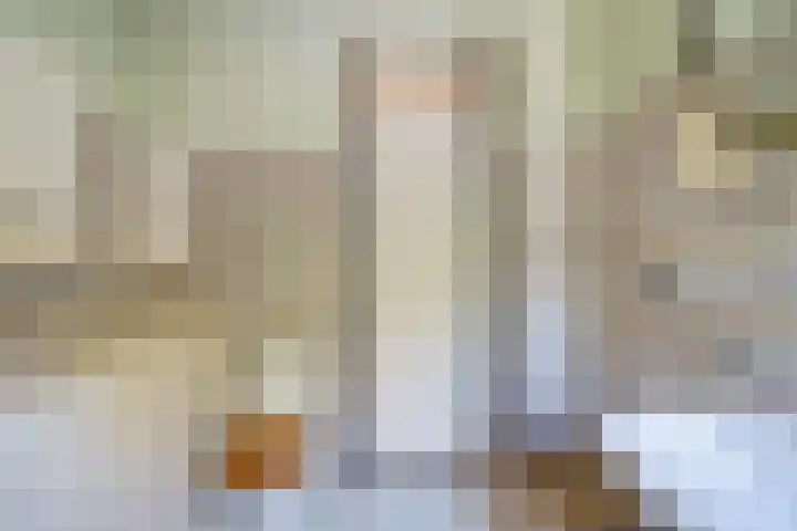 Henneland 18 Koog aan de Zaan thumbnail 33