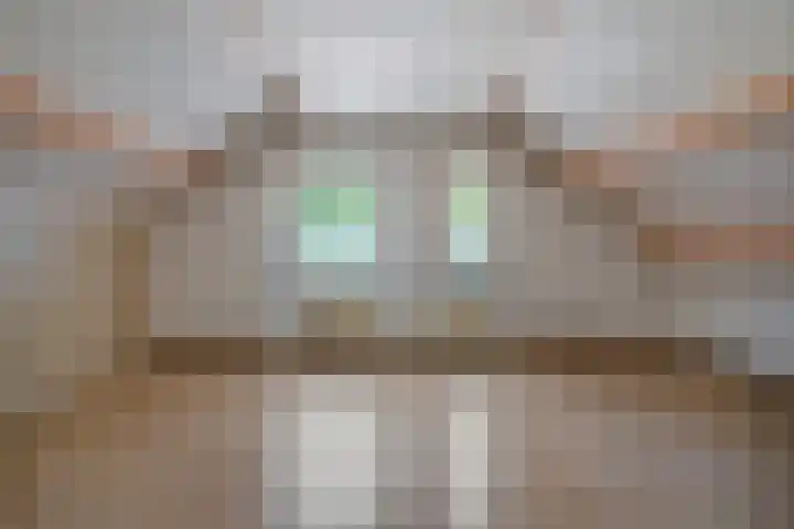 Henneland 18 Koog aan de Zaan thumbnail 37