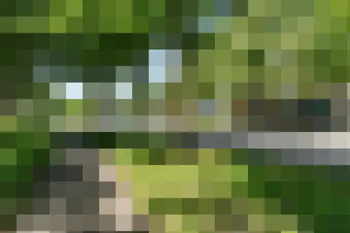 Henneland 18 Koog aan de Zaan thumbnail 4