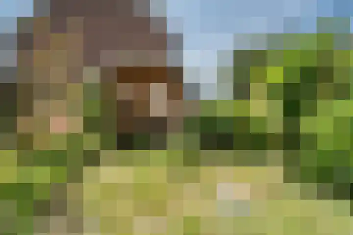Henneland 18 Koog aan de Zaan thumbnail 46