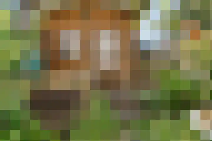Henneland 18 Koog aan de Zaan thumbnail 47