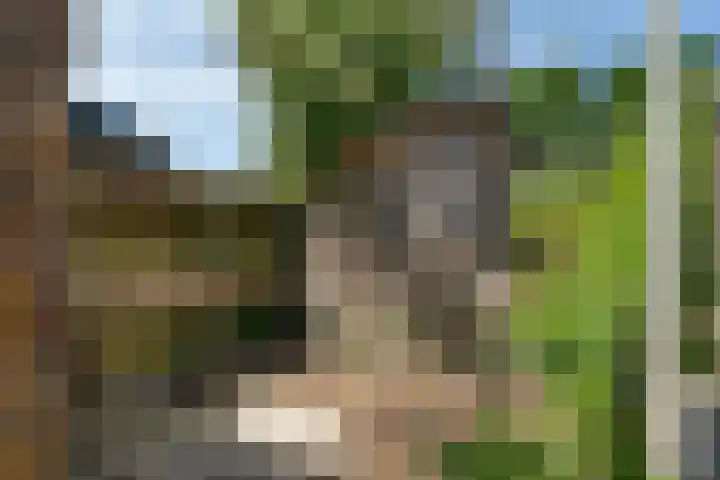 Henneland 18 Koog aan de Zaan thumbnail 48
