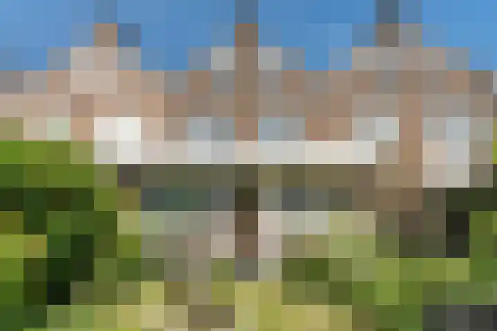 Henneland 18 Koog aan de Zaan thumbnail 49