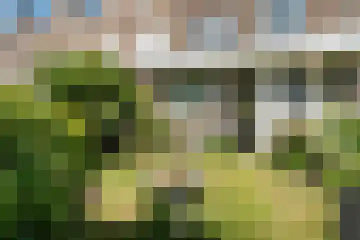 Henneland 18 Koog aan de Zaan thumbnail 50