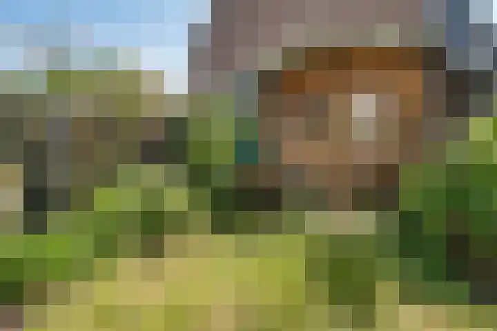 Henneland 18 Koog aan de Zaan thumbnail 51