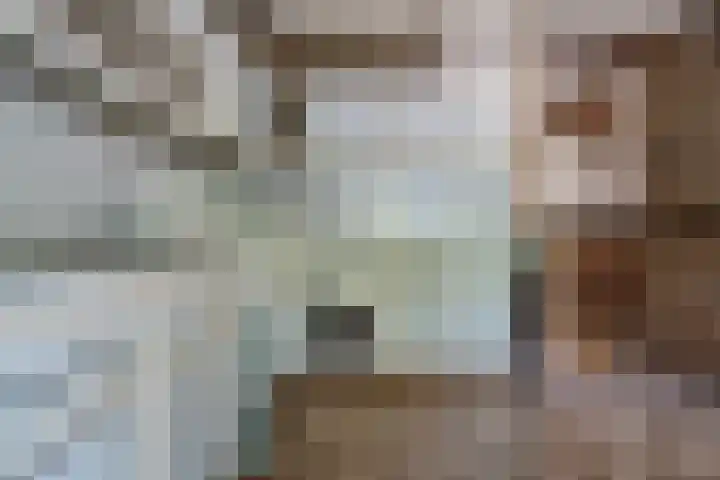 Henneland 18 Koog aan de Zaan thumbnail 8