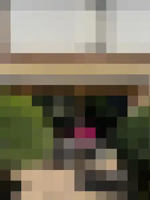 Henneland 42 Koog aan de Zaan thumbnail 13