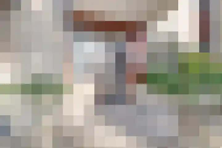 Hennepad 33 Wormerveer thumbnail 8