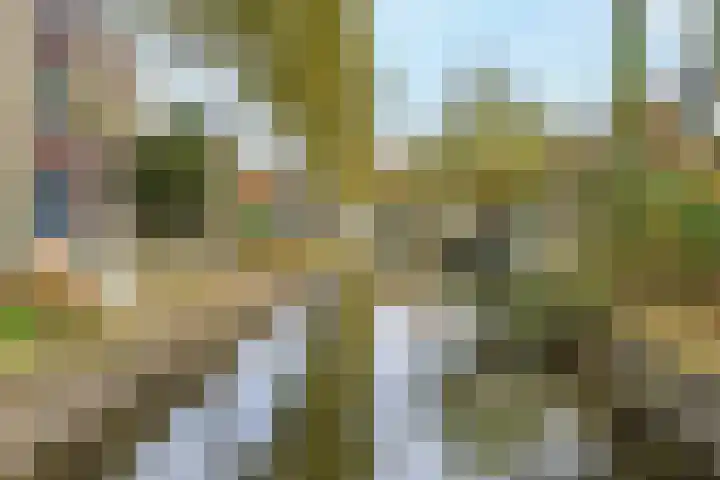 Hennepad 64 Wormerveer thumbnail 30