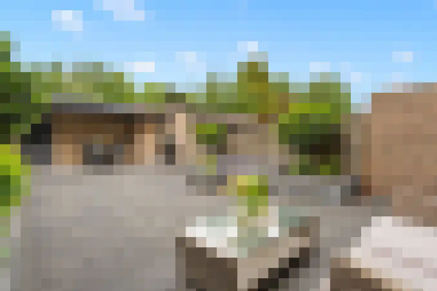 Hennepakker 16 Oudewater thumbnail 33