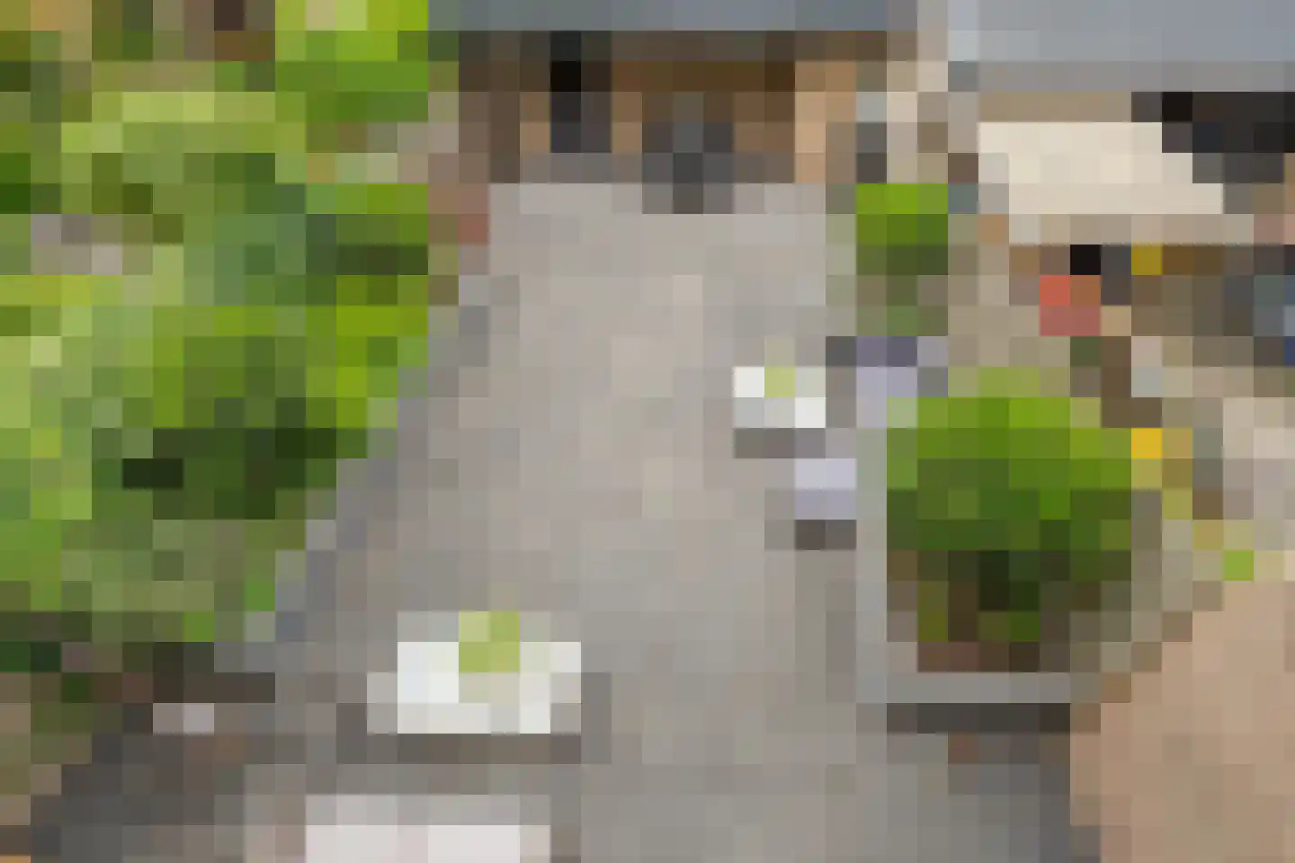 Hennepakker 16 Oudewater thumbnail 41