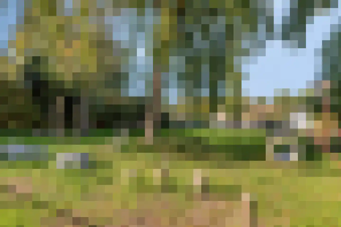 Hennepakker 21 Oudewater thumbnail 39