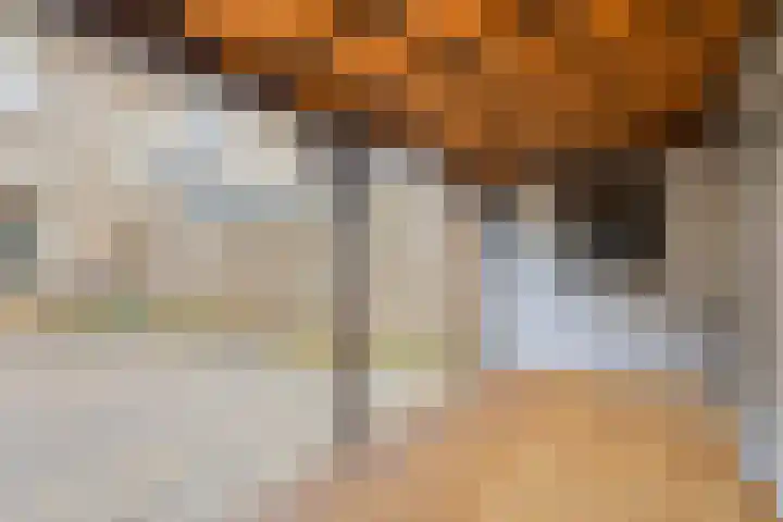 Hennepakker 6 Oudewater thumbnail 12