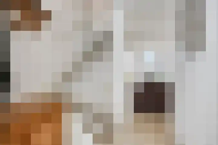 Hennepakker 6 Oudewater thumbnail 15