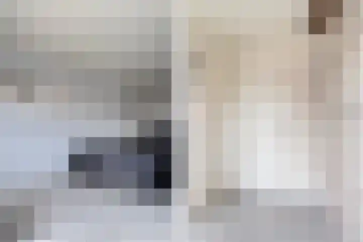 Hennepakker 6 Oudewater thumbnail 17
