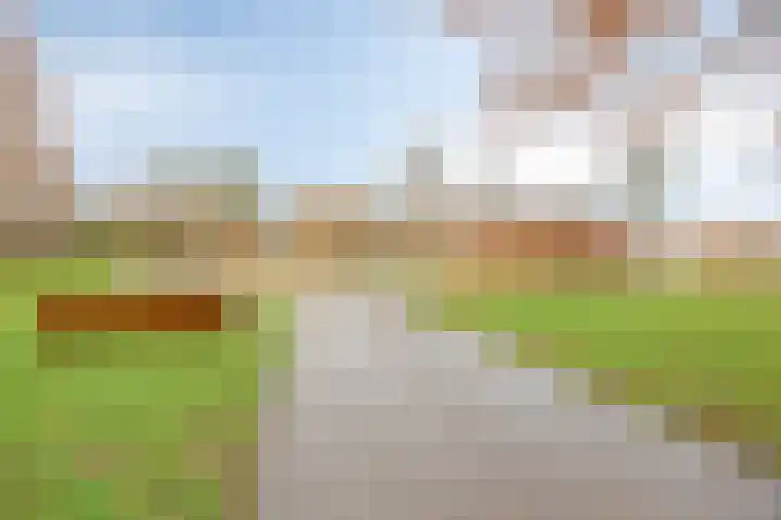 Hennepakker 6 Oudewater thumbnail 31