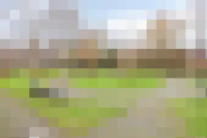 Hennepakker 6 Oudewater thumbnail 32