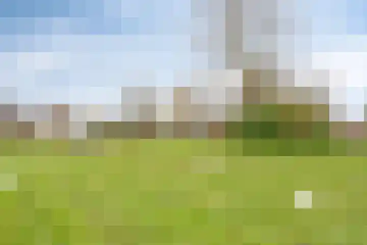 Hennepakker 6 Oudewater thumbnail 33