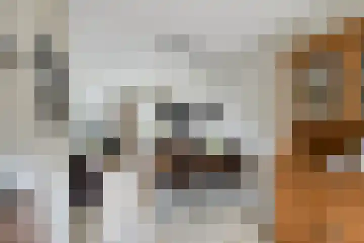 Hennepakker 6 Oudewater thumbnail 9
