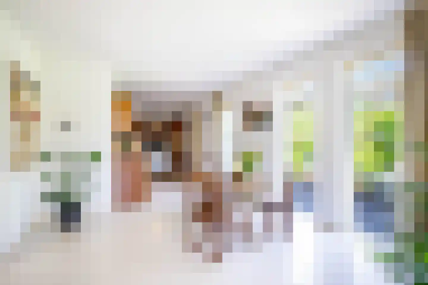 Hennephof 5 Stolwijk thumbnail 18