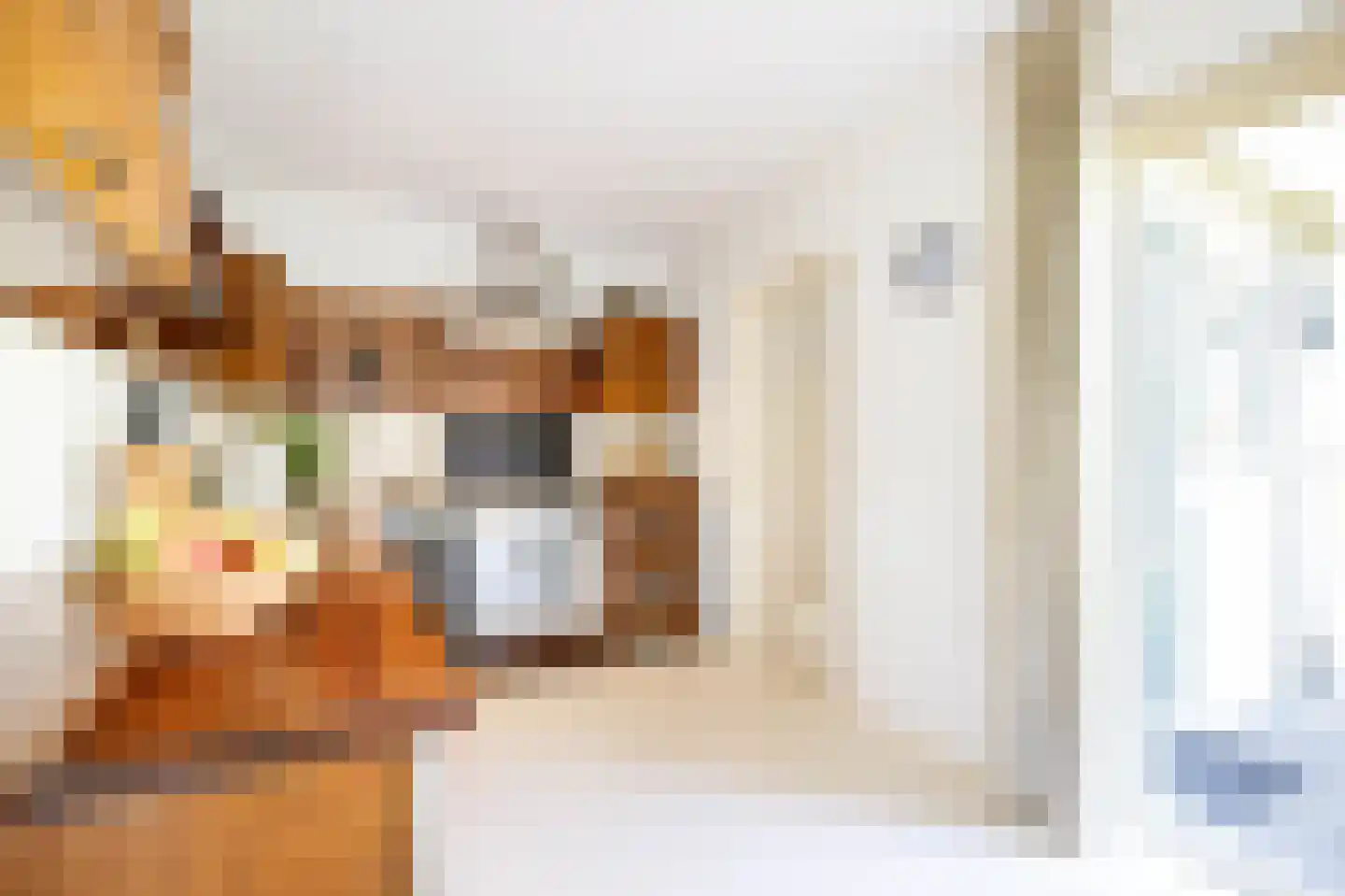 Hennephof 5 Stolwijk thumbnail 20