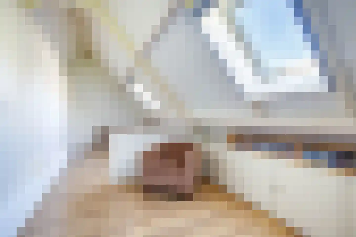 Hennephof 5 Stolwijk thumbnail 39
