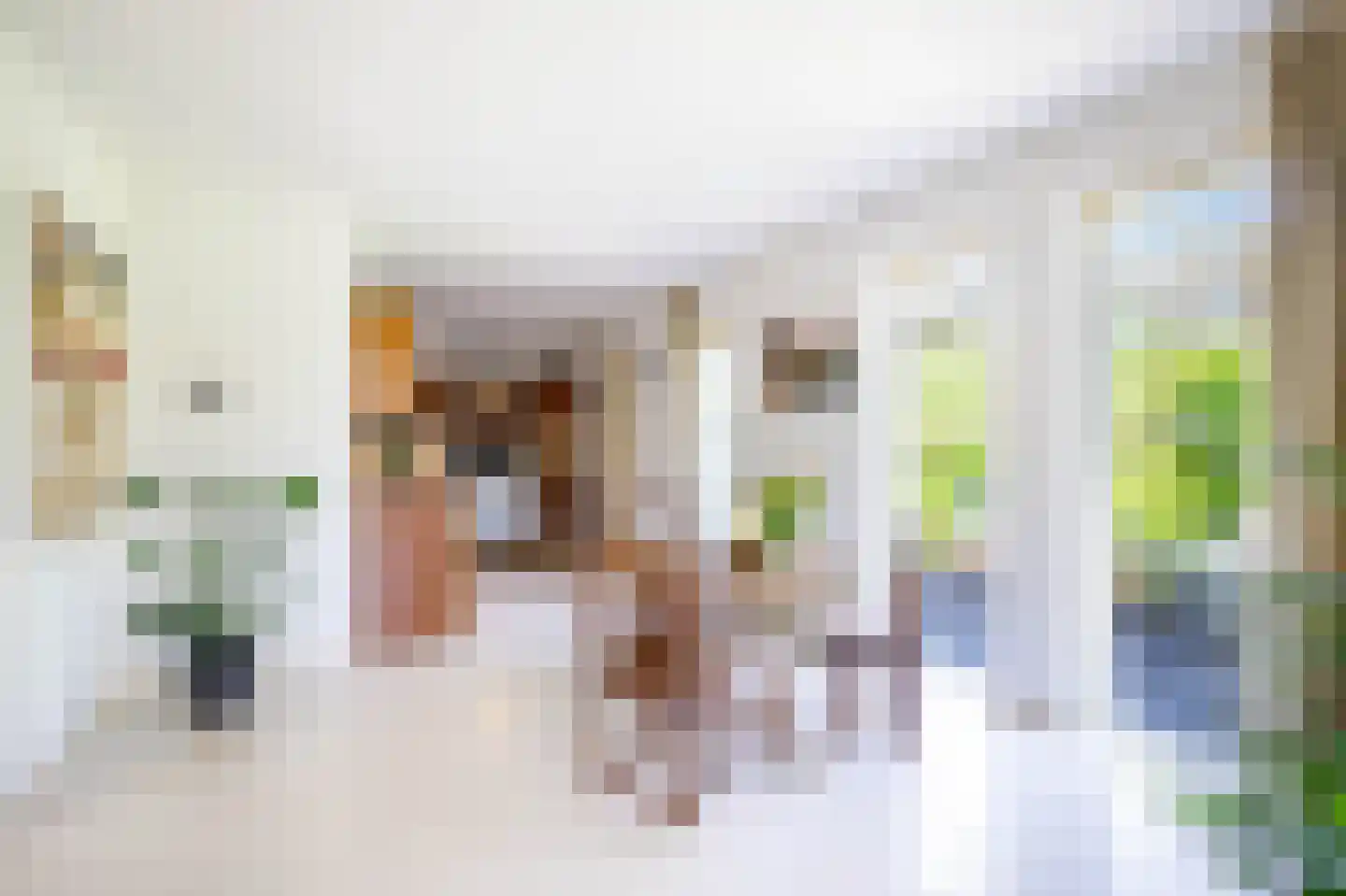 Hennephof 5 Stolwijk thumbnail 4