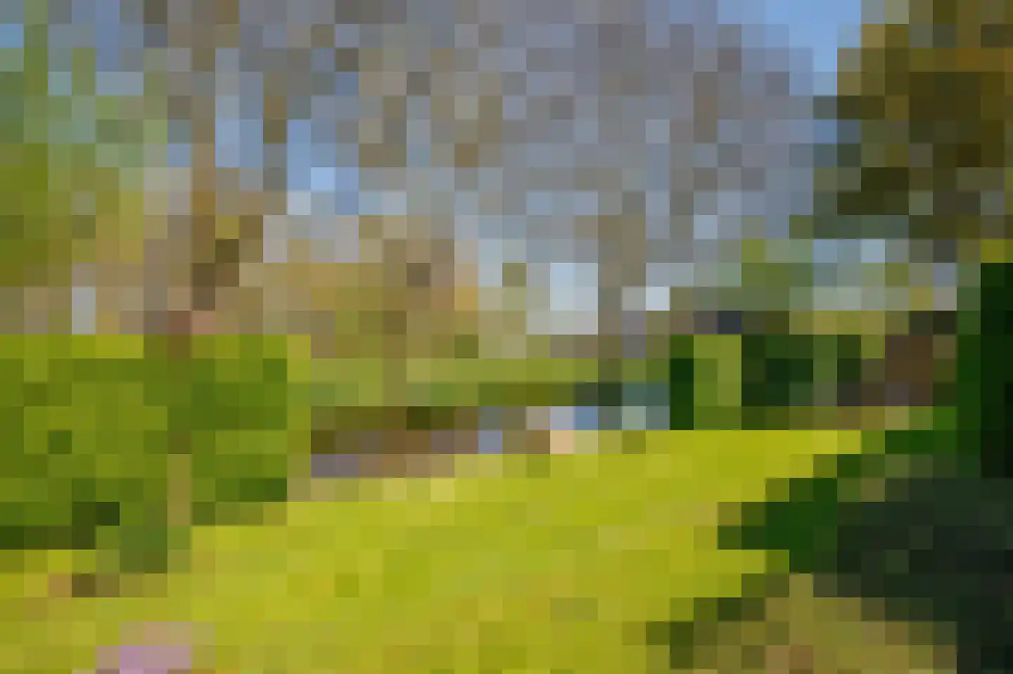 Hennephof 5 Stolwijk thumbnail 45
