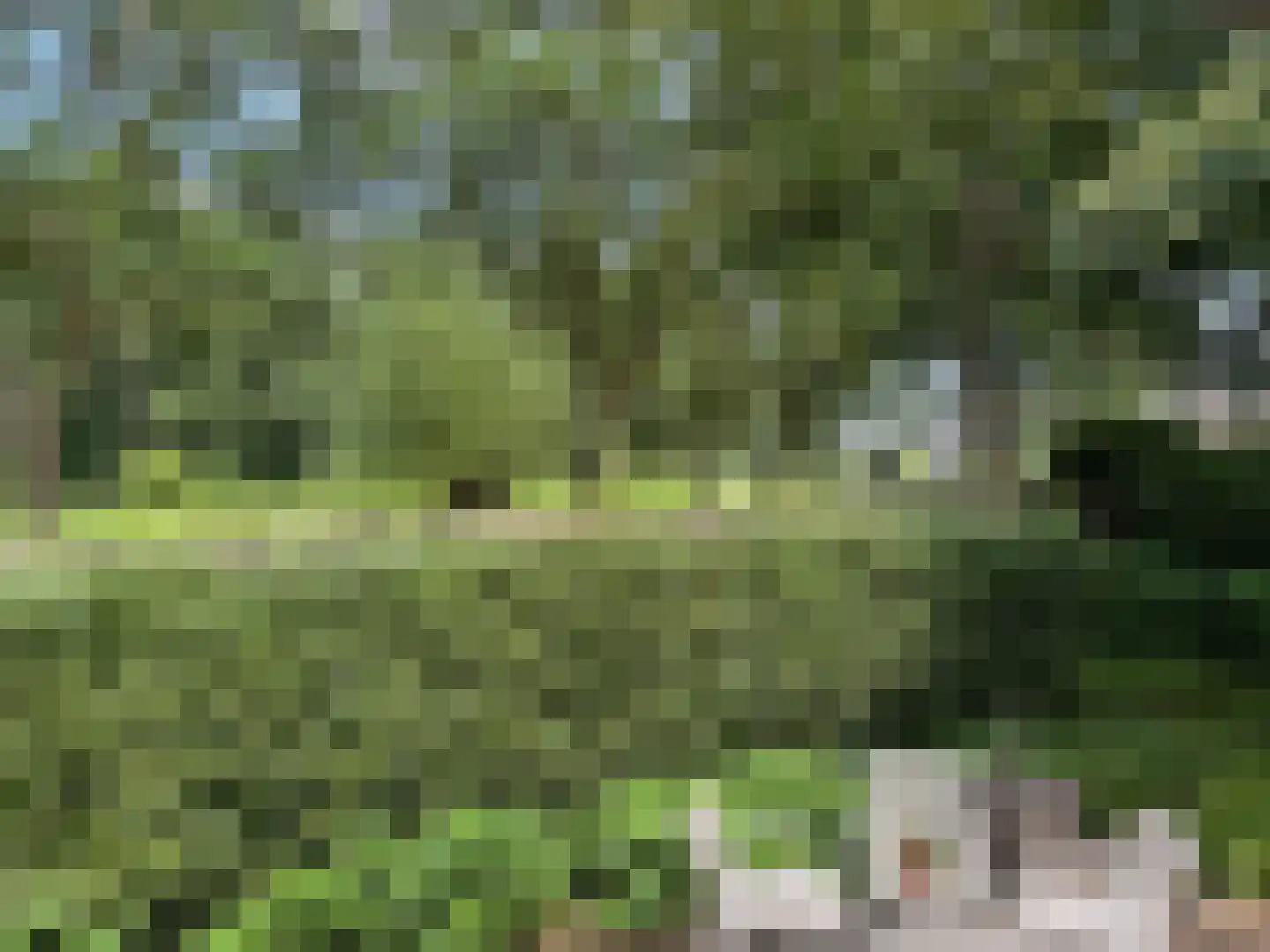 Hennephof 5 Stolwijk thumbnail 45