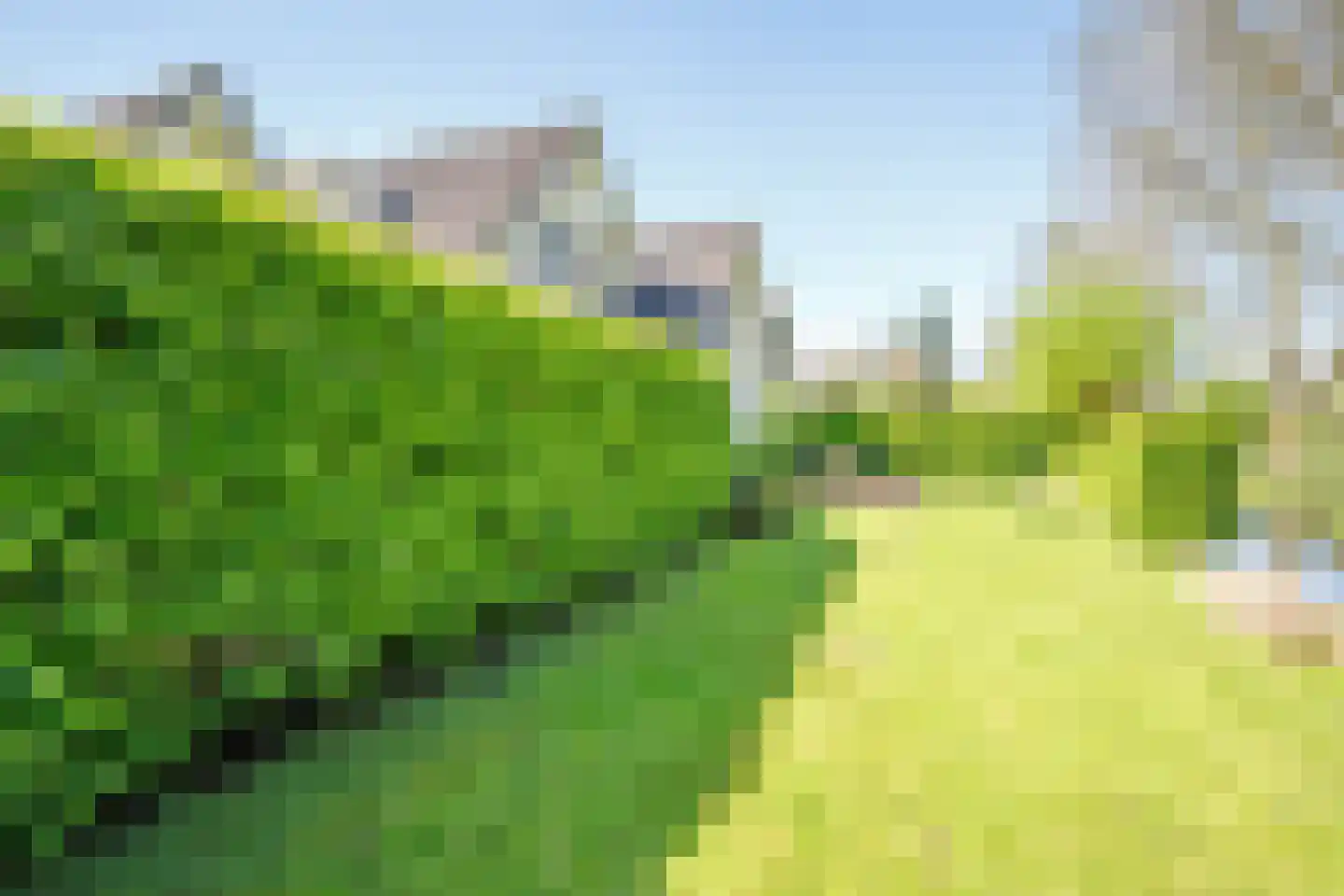 Hennephof 5 Stolwijk thumbnail 48