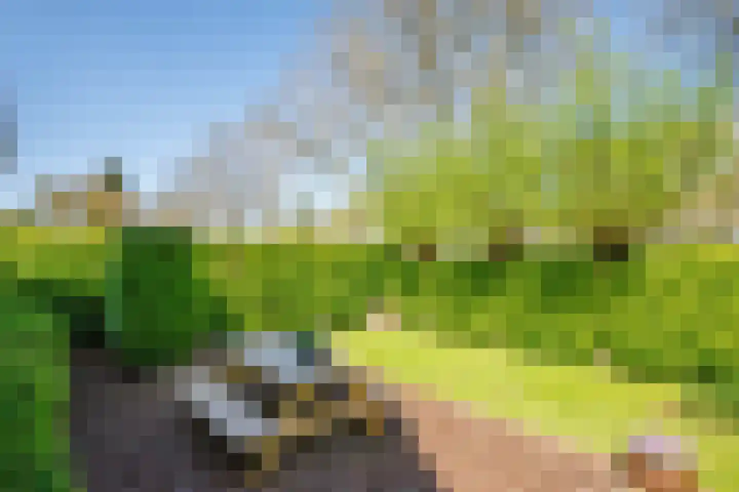 Hennephof 5 Stolwijk thumbnail 52