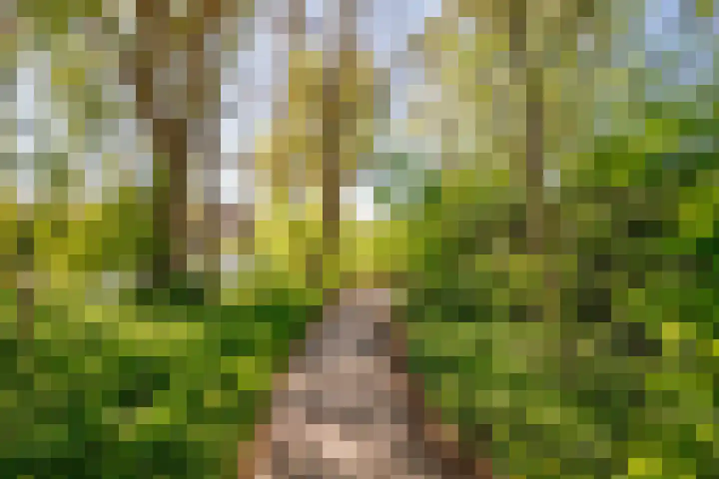 Hennephof 5 Stolwijk thumbnail 54