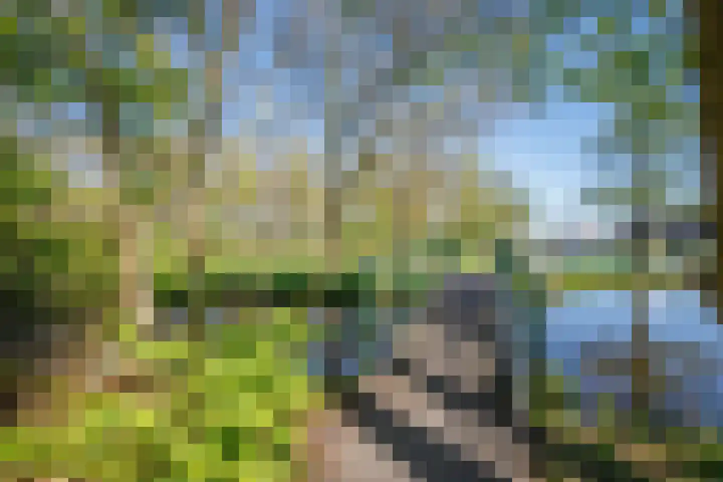 Hennephof 5 Stolwijk thumbnail 55