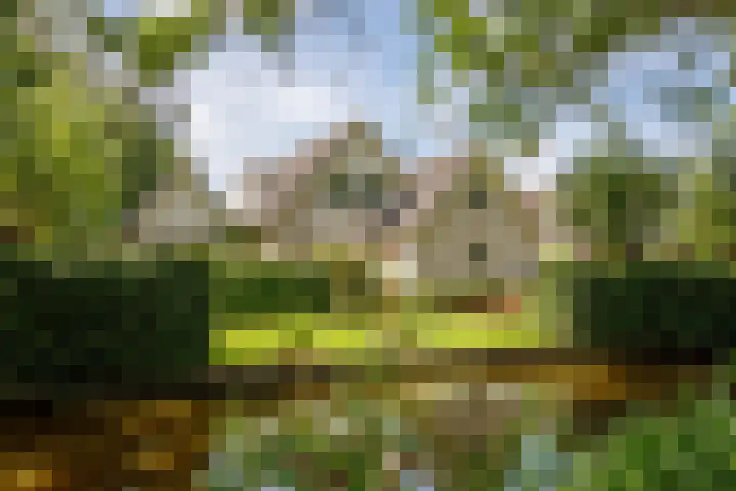 Hennephof 5 Stolwijk thumbnail 55